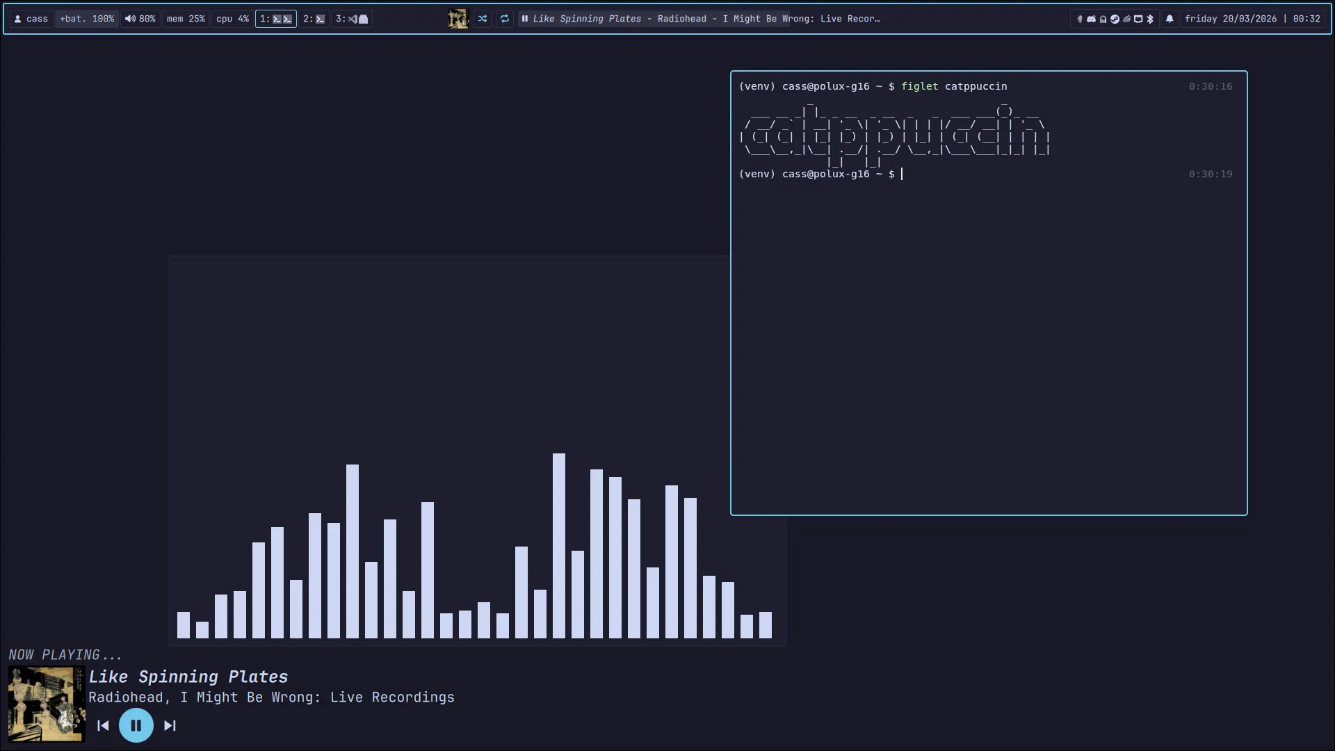 catppuccin mocha flavored desktop with a sapphire accent color. two terminal windows are open